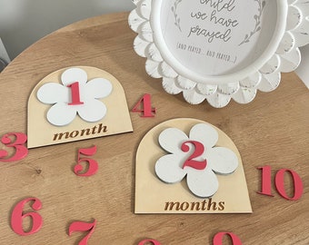 Baby Monthly Wooden Milestone I Baby shower Gift I