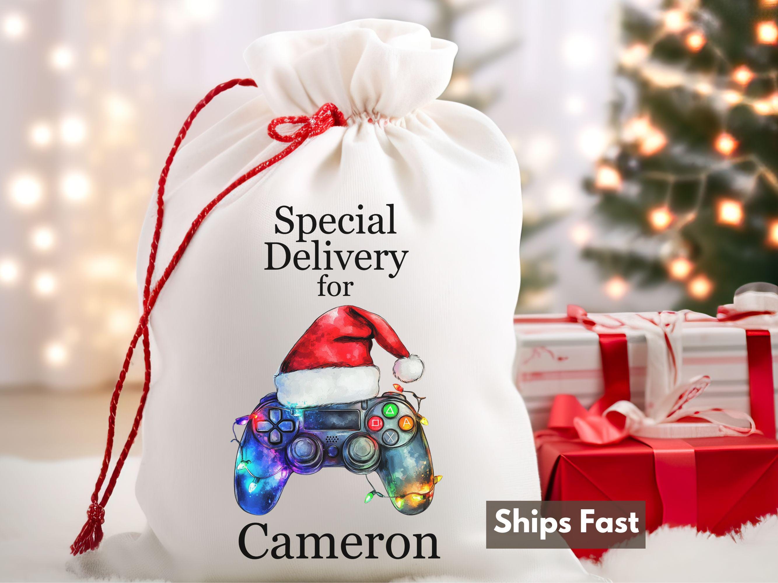 Set Of 6 Luxury Christmas Gift Bags With Handles - Empty Party Treat & Sweet Bags