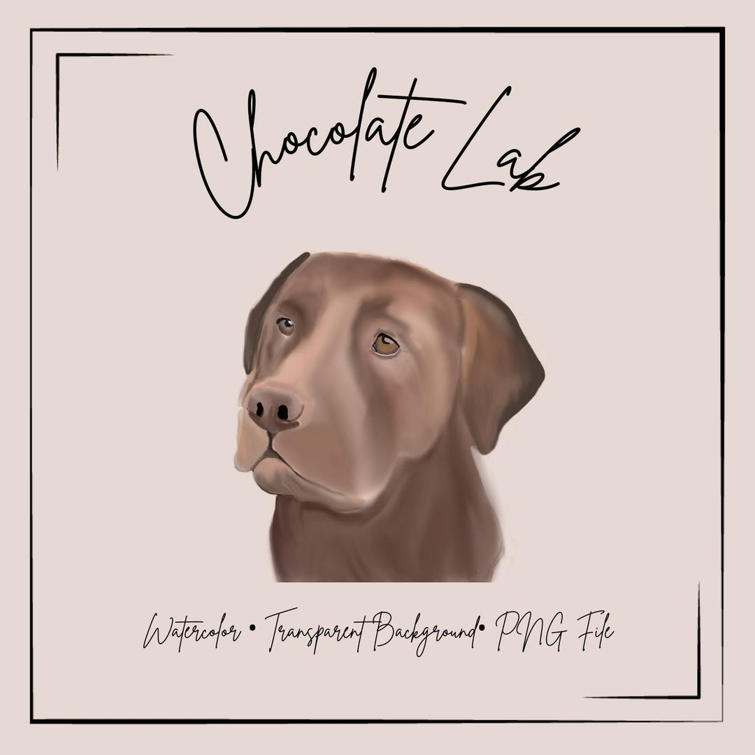 Chocolate Lab Watercolor Clipart PNG Transparent Background Gift Tags ...