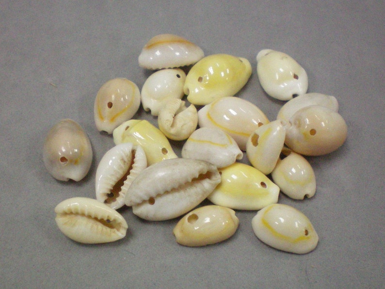 Shell Beads image 1