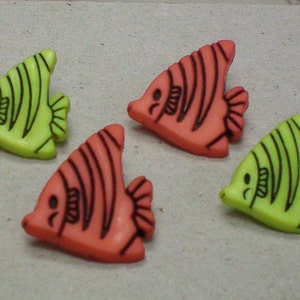 Buttons Tiger Fish