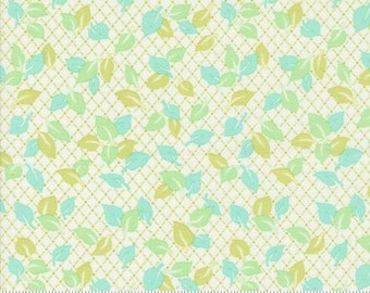 Jelly and Jam | 20493 22 | Green Apple | Fig Tree Quilts | Fat Quarters | Continuous Yardage