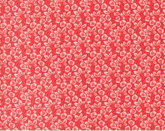 Jelly and Jam | 20494 14 | Strawberry | Fig Tree Quilts | Fat Quarters | Continuous Yardage