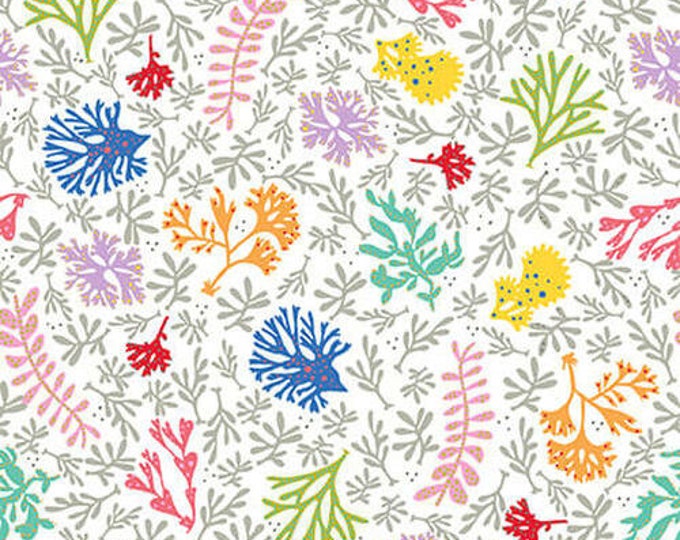 Blank Quilting | Commotion in the Ocean | White | 2131-01 | Coral | Fat Quarters | Yardage F4