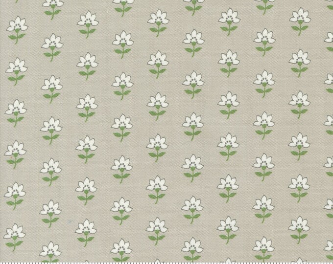 Moda Fabrics | Shoreline | 55301 16 | Grey | Fat Quarters | Yardage