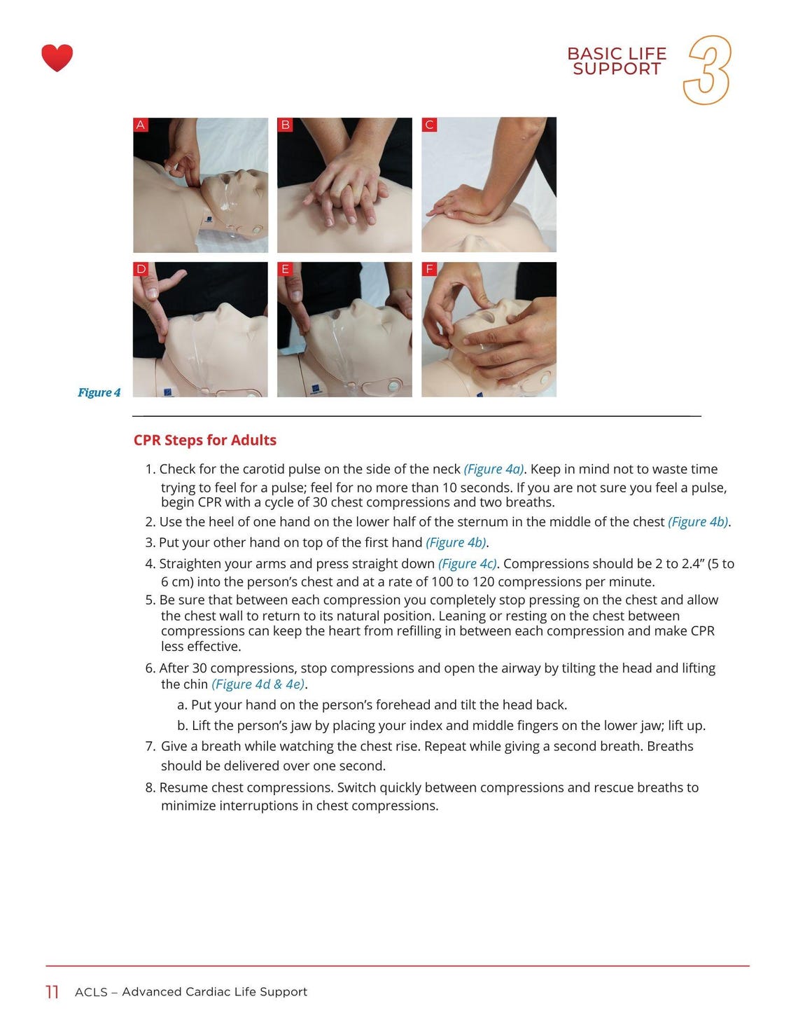 Advanced Cardiac Life Support (ACLS) Provider Handbook With Free ...