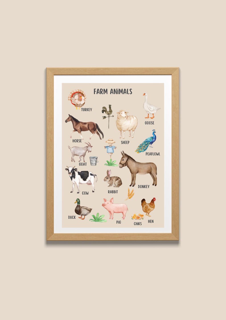 Charming Farm Animals Poster - Etsy