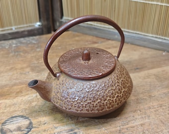 Vintage Nambu Tekki Tetsubin 1970s Japanese Cast Iron Teapot Floral Pattern D40