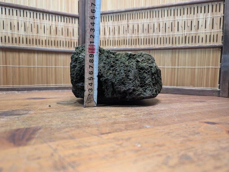 Puede incluir: Una roca porosa de color verde oscuro con una regla al lado, que mide aproximadamente 7,6 cm de altura. La roca se encuentra sobre una superficie de madera, con una pantalla de bamb&uacute; en el fondo. La textura de la roca es &aacute;spera y desigual.