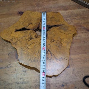 May include: A natural wood slab with a unique, irregular shape. The slab is a warm, golden brown color with darker brown and black markings. A measuring tape shows the slab is approximately 29 inches long.