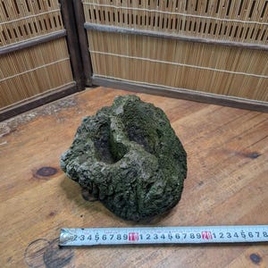 Puede incluir: Una roca texturizada, cubierta de musgo, con una depresi&oacute;n central, probablemente un objeto decorativo. La roca est&aacute; sobre una superficie de madera, con una cinta m&eacute;trica cerca. El fondo incluye una pantalla de bamb&uacute;.