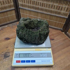 Puede incluir: Una roca rugosa de color verde se encuentra sobre una balanza electr&oacute;nica digital. La balanza muestra un peso de 1355 gramos. La roca tiene una superficie texturizada y una depresi&oacute;n oscura central.