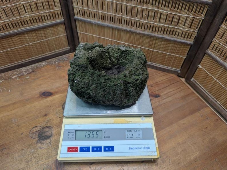 Puede incluir: Una roca rugosa de color verde se encuentra sobre una balanza electr&oacute;nica digital. La balanza muestra un peso de 1355 gramos. La roca tiene una superficie texturizada y una depresi&oacute;n oscura central.