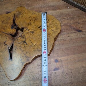 May include: A natural wood slab with a unique, irregular shape. The slab has a light brown color with darker grain patterns and a large, dark knot. A ruler shows the slab is approximately 12 inches wide.