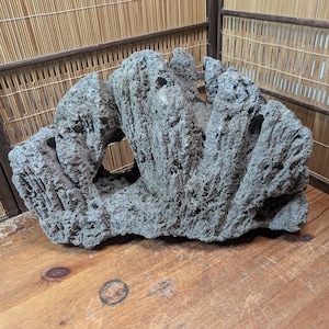 Rzadki japoński kamień ogrodowy Kalui Ishi z lat 70. – Jasny kamień dekoracyjny | Duży kamień Wabi Sabi (+2 kg) | Aukcja rządu Japonii | Wystawa Zen lub Bonsai P25