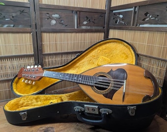 Vintage Suzuki M-215 Mandoline 1970s Japan mit Original Koffer Rare C207