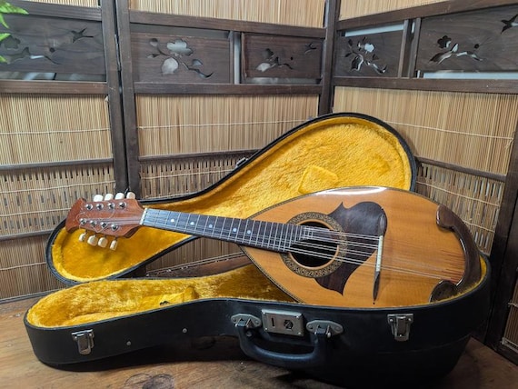Vintage Suzuki M-215 Mandolin 1970s Japan With Original Hard Case