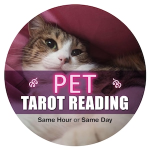 PET Tarot Reading, Psychic PET Insights, Detailed Deep Reading, Medium PET Guidance, In-Depth Living Pet Psychic Reading, Same Hour or Day