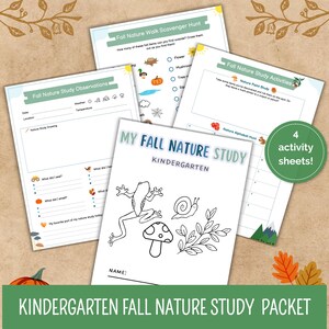 May include: A printable fall nature study packet for kindergarten. The packet includes four activity sheets: a nature walk scavenger hunt, nature study observations, nature alphabet hunt, and a nature paint study. The cover sheet features a black and white illustration of a frog, a snail, a mushroom, and leaves.