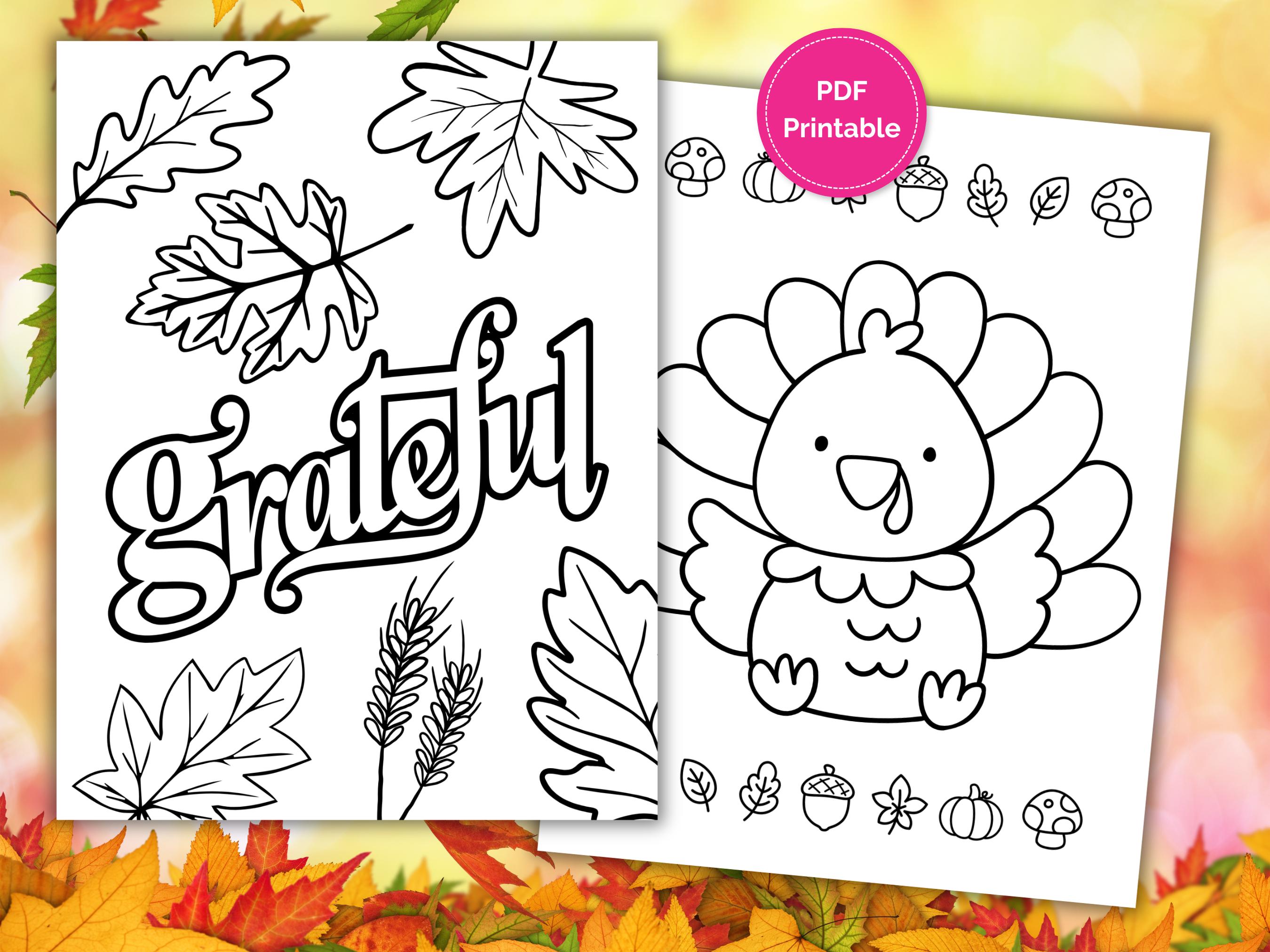 Fun Thanksgiving Coloring Pages Bundle 14 Pages for Kids & Adults Bold