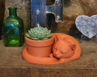 Maceta de interior para suculentas con forma de gato dormilón - Diseñada para amantes de los gatos