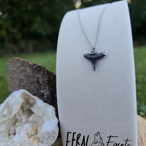 Soft Solder Shark Tooth Necklace