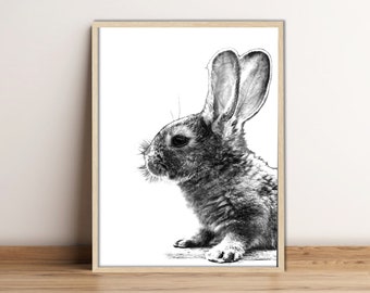 Digital Prints, Nursery prints, Nursery decor, Nursery wall art, Animal prints for nursery, Baby Animal Prints, Rabbit art, Kids wall art