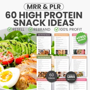 60 High Protein Snack Ideas Recipe Book, Healthy Protein Snacks, PLR MRR Canva Template, Nutrition Lead Magnet, High Protein Foods