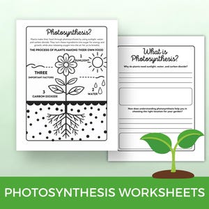 Photosynthesis Science Worksheets for Kids with Journal and Coloring Pages Homeschool, Classroom Activities, Garden Club Instant Download