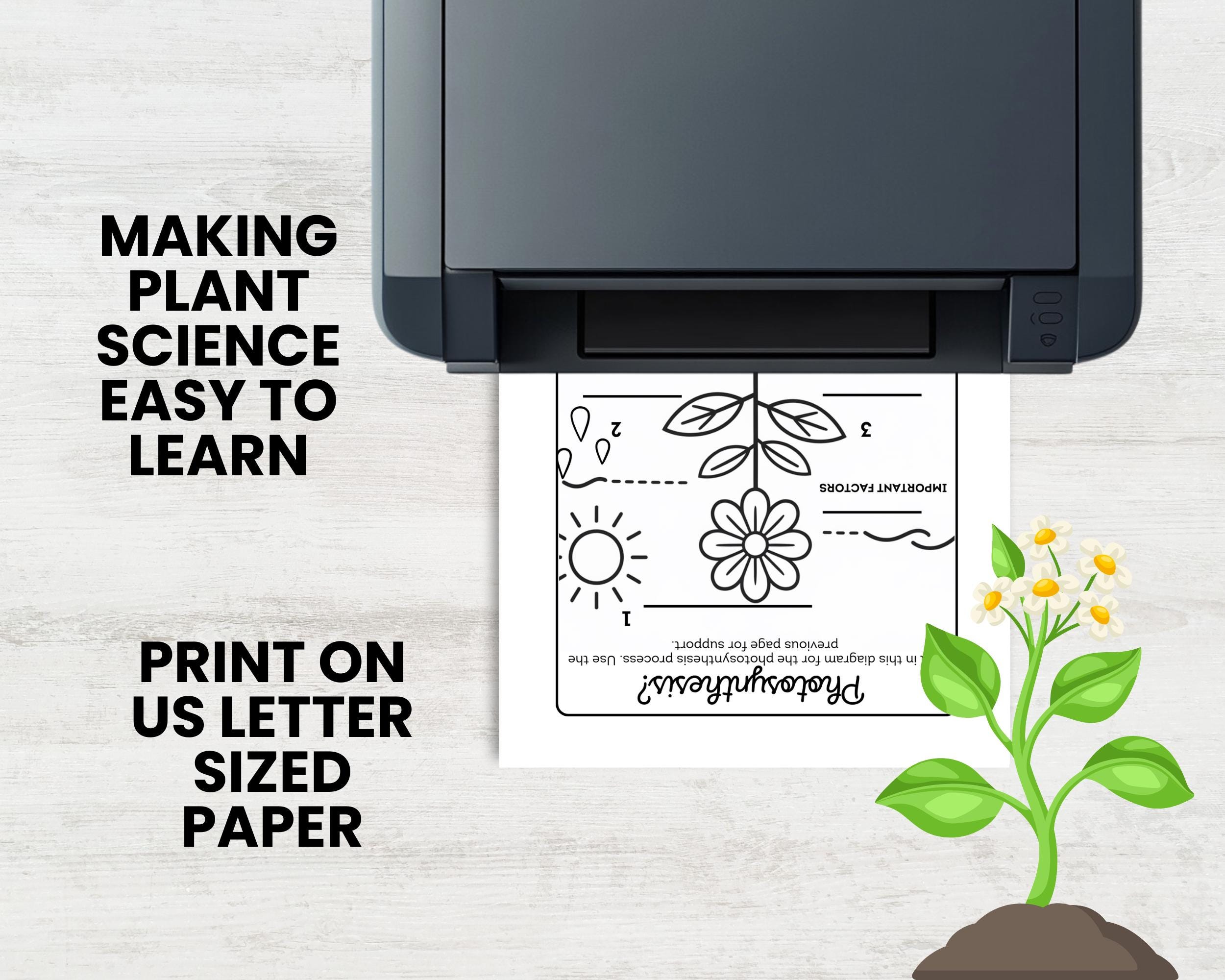 Photosynthesis Science Worksheets for Kids With Journal and Coloring ...