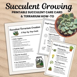 Guía de cuidado de suculentas e instrucciones para terrarios (imprimible), PDF para el cuidado de plantas de interior, tamaño carta y 5x7, descarga a color y en blanco y negro.