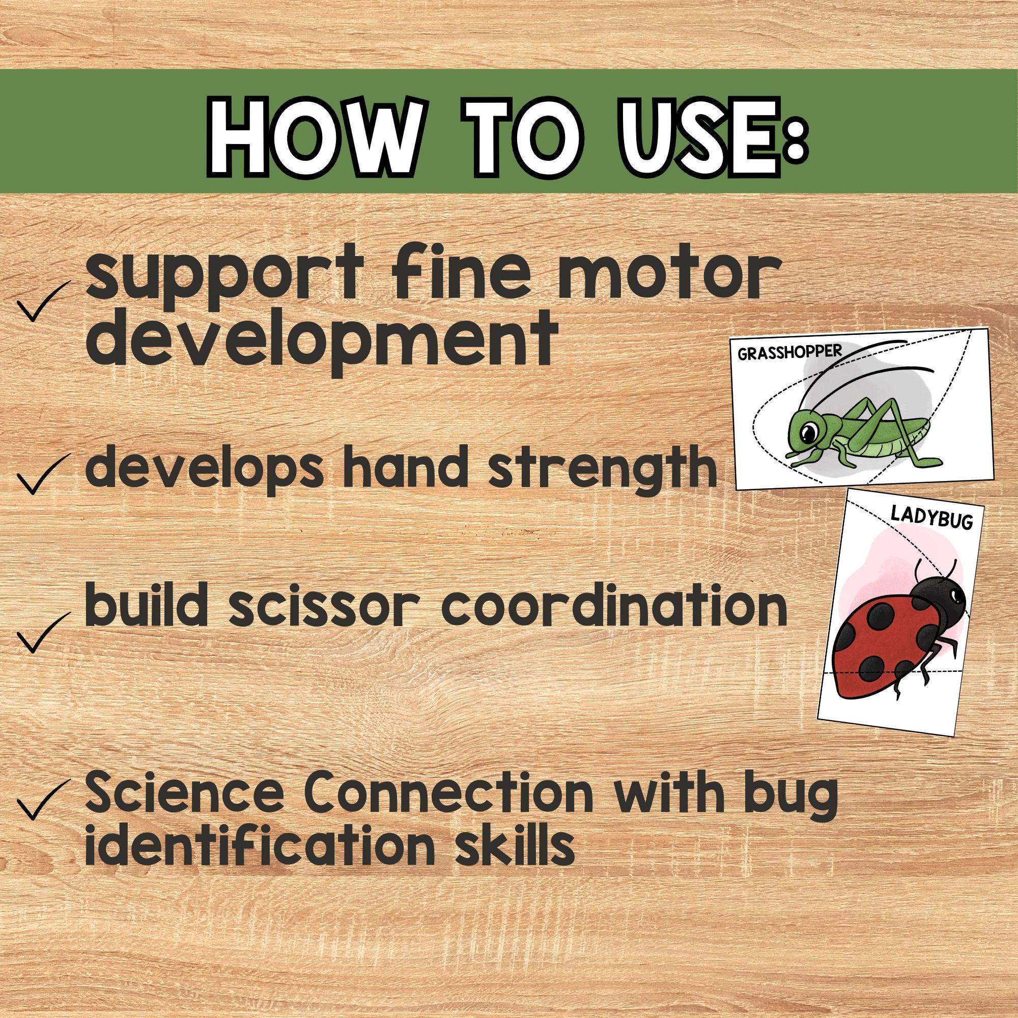 Bug Cutting Practice Worksheets for Kids, Preschool Nature Fine Motor ...