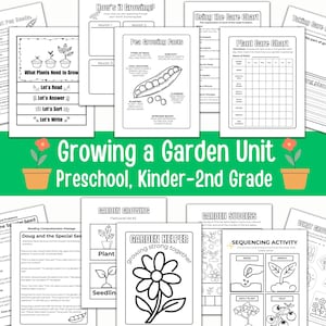 May include: Black and white printable worksheets for a growing a garden unit for preschool, kindergarten, and first and second grade. The worksheets include activities like reading comprehension, sequencing, and a plant care chart.