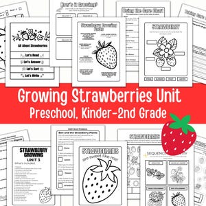 May include: Black and white printable worksheets for a growing strawberries unit for preschool, kindergarten, and first and second grade. The worksheets include activities like coloring by number, reading comprehension, sequencing, and math word problems.