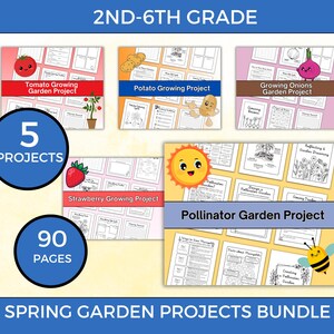 May include: A colorful digital download bundle of 5 spring garden projects for 2nd-6th grade students. The bundle includes projects for growing tomatoes, potatoes, onions, strawberries, and a pollinator garden. The bundle includes 90 pages of printable worksheets.