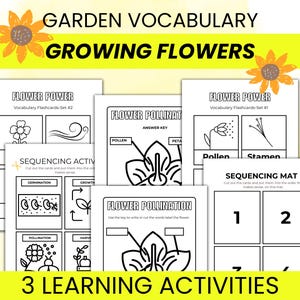 Activiteitenpakket bloemen groeien voor kinderen: woordenschatkaarten woordenschat, hoe te groeien, wat planten nodig hebben Etiketteringsactiviteit