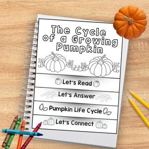 以下が含まれることがあります： The Cycle of a Growing Pumpkinというタイトルのワークシートが綴じられたスパイラルノート。カボチャ、種、蔓の白黒の線画イラストが描かれています。ページにはLet's Read、Let's Answer、Pumpkin Life Cycle、Let's Connectとラベル付けされたセクションが含まれています。