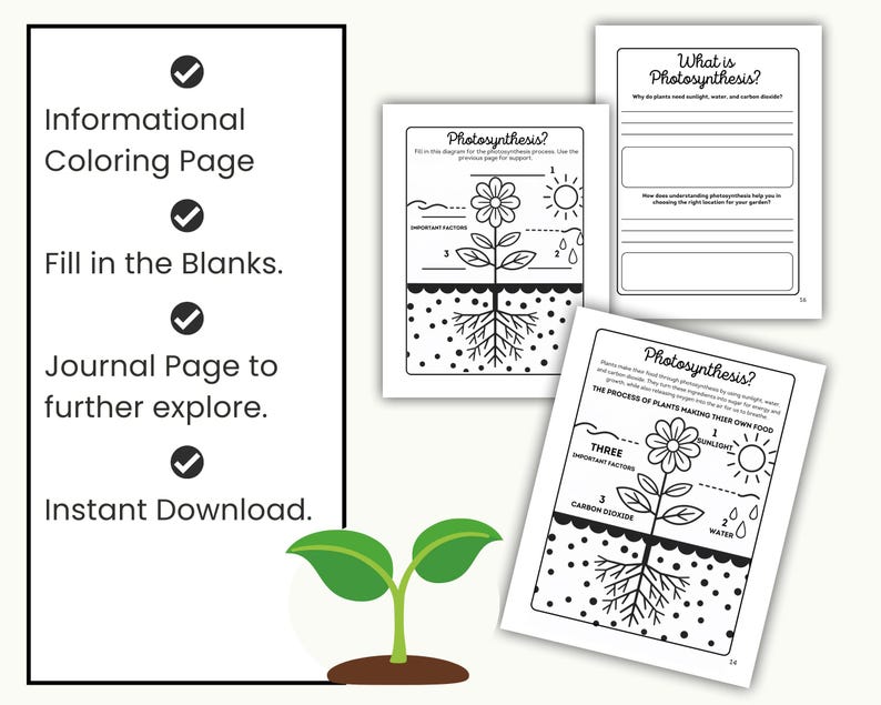 Photosynthesis Science Worksheets for Kids With Journal and Coloring ...