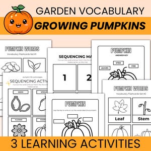 Pack d'activités de vocabulaire pour faire pousser des citrouilles pour les enfants : cartes mémoire de mots à voir, séquence de culture, ce dont les plantes ont besoin, activité d'étiquetage