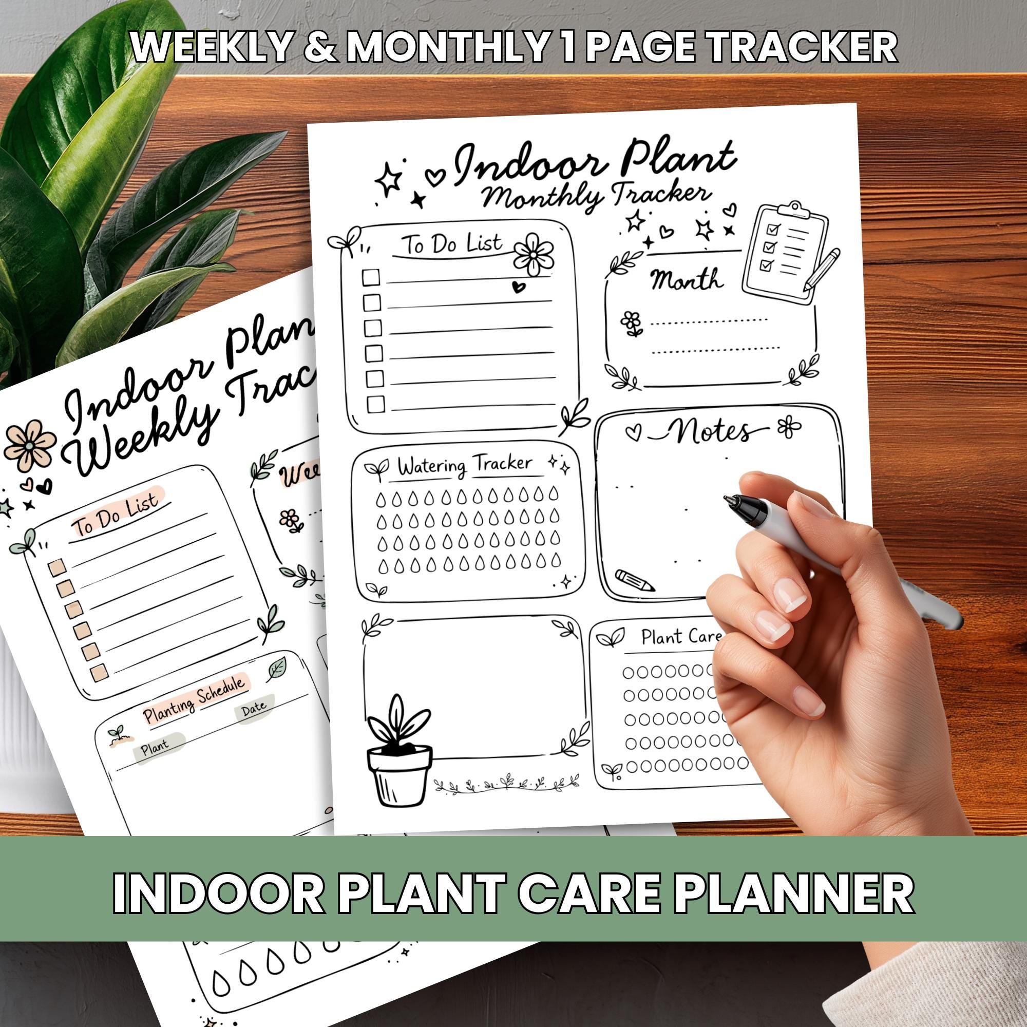 Indoor Plant Monthly Watering Schedule - Etsy