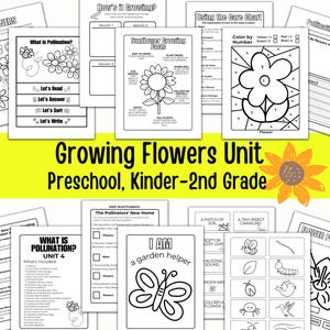 Puede incluir: Hojas de trabajo imprimibles en blanco y negro para una unidad sobre el crecimiento de las flores para preescolar, jardín de infantes y primer y segundo grado. Las hojas de trabajo incluyen actividades como colorear por números, leer, responder preguntas, ordenar y escribir.