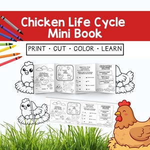 May include: A mini book titled "Chicken Life Cycle" with the instructions "Print, Cut, Color, Learn." The book features illustrations of the chicken life cycle, including eggs, chicks, and adult chickens. The cover has a cartoon chicken.