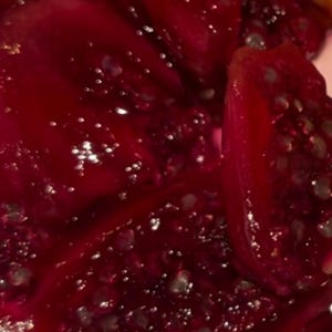 Prickly pear/Tuna/ Opuntia