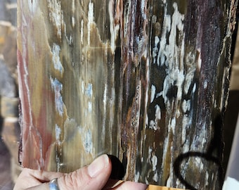 Petrified Wood slab with stand