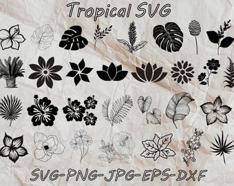 Pacchetto SVG floreale tropicale: foglie della giungla, ibisco (file digitali)