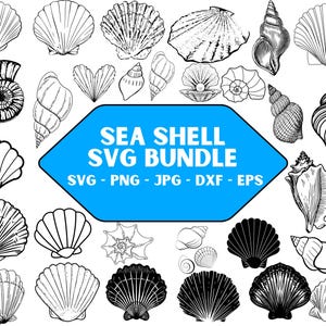 Könnte beinhalten: Ein digitaler Download von 20 Schwarzweiß-SVG-Dateien mit Muscheln. Die Bilder zeigen verschiedene Arten von Muscheln, wie z. B. Jakobsmuscheln, Conch-Muscheln und Nautilus-Muscheln. Der Text "SEA SHELL SVG BUNDLE" befindet sich in einem blauen Banner oben im Bild. Der Text "SVG - PNG - JPG - DXF - EPS" befindet sich in einem blauen Banner unten im Bild.