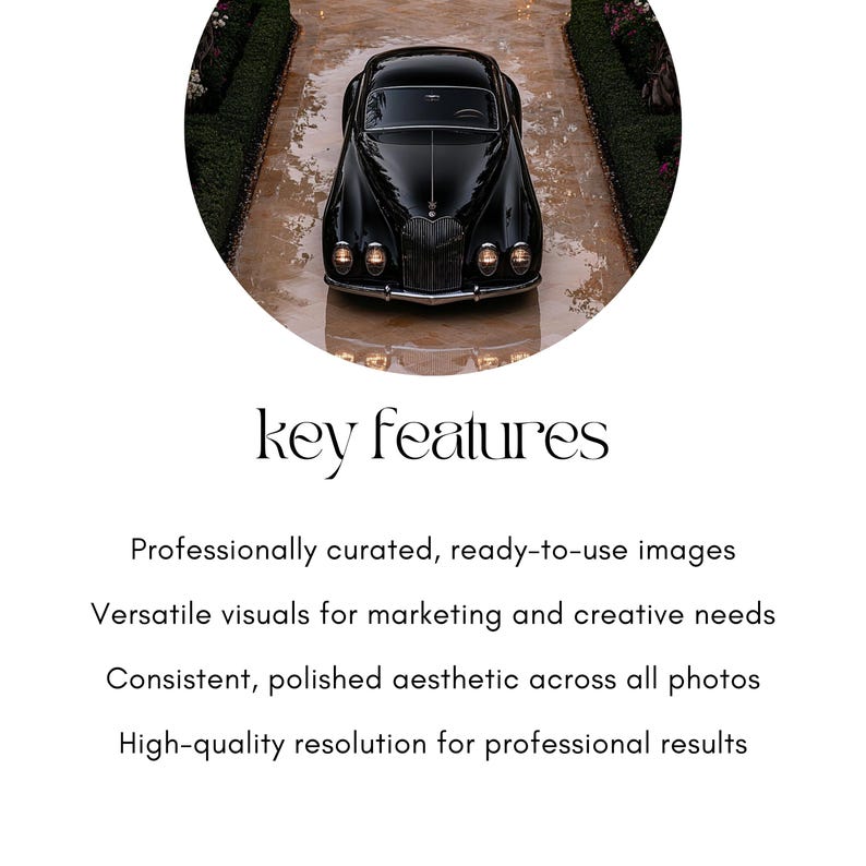 Old Money Aesthetic Photos for Digital Marketing, AI Generated Photo Stock Images, Volume 1, Dark Luxury Elegant Lifestyle image 4