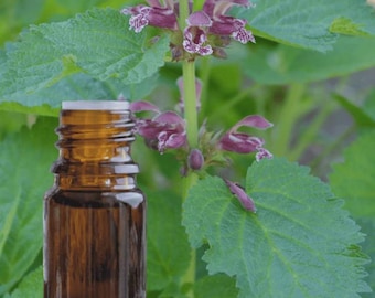 100% czysty i naturalny olejek paczulowy 30 ml