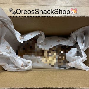 Rodent Mystery Box
