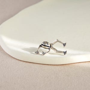 May include: A silver frog charm with black eyes and stripes. The frog is posed with its legs outstretched.